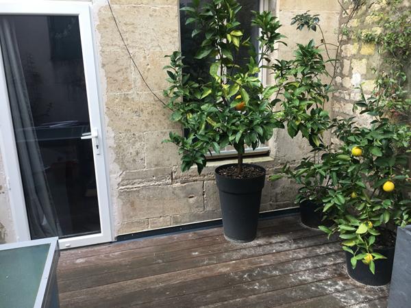 Appartement et local commercial centre, Niort 5 pièce(s) 158 m2