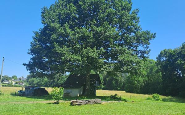 Maison à vendre    7 pièces •  Asson