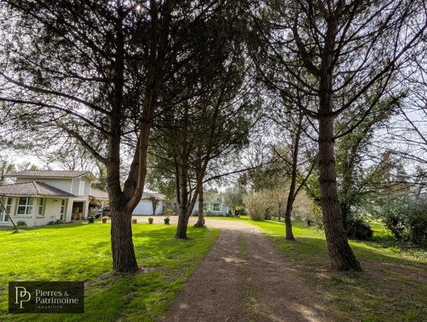 Nérac (47600) Villa de plain-pied avec piscine, dépendance sur un terrain de 8500m² à Nérac