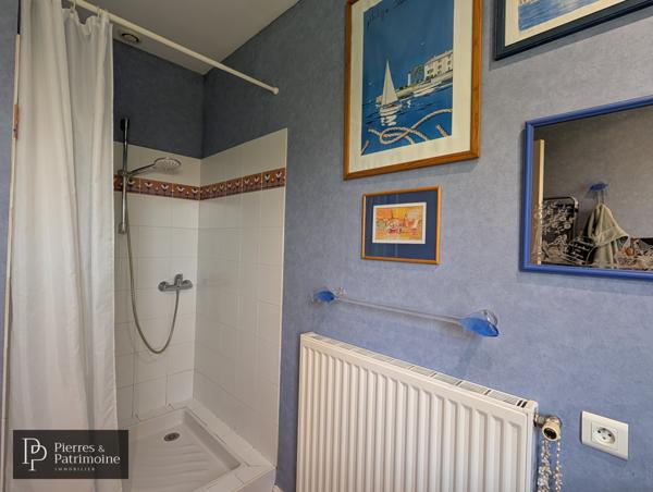 Nérac (47600) Villa de plain-pied avec piscine, dépendance sur un terrain de 8500m² à Nérac