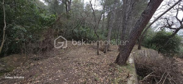 Terrain de 2 093 m²