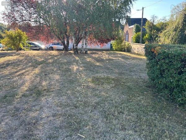 Achat - Maison Mer 41500 6 pièces 147 m 2 2665 m 2