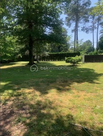 Situé sur la commune de Mont-de-Marsan dans un environnement calme proche des commodités
Terrain plat, boisé, clôturé sur 3 côtés avec portail d'accès.
Libre de constructeur pour lequel vous développer votre projet de construction.
Viabilisation partielle (téléphone et électricité) sont en limite de propriété, le tout à l'égout à quelques mètres.

Contacter Héléna RONDINAUD : 06.33.11.34.40