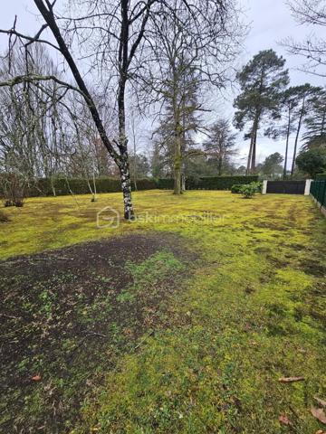 Situé sur la commune de Mont-de-Marsan dans un environnement calme proche des commodités
Terrain plat, boisé, clôturé sur 3 côtés avec portail d'accès.
Libre de constructeur pour lequel vous développer votre projet de construction.
Viabilisation partielle (téléphone et électricité) sont en limite de propriété, le tout à l'égout à quelques mètres.

Contacter Héléna RONDINAUD : 06.33.11.34.40