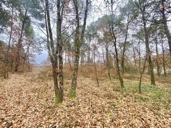 Vente Terrain 1704 m2 à Montans