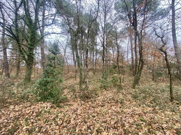 Vente Terrain 1704 m2 à Montans