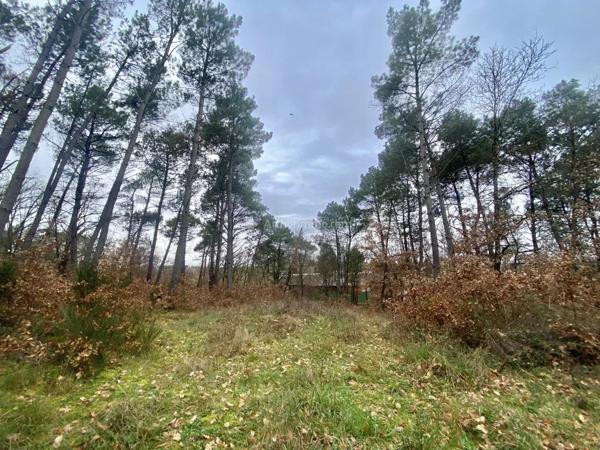 Vente Terrain 1704 m2 à Montans