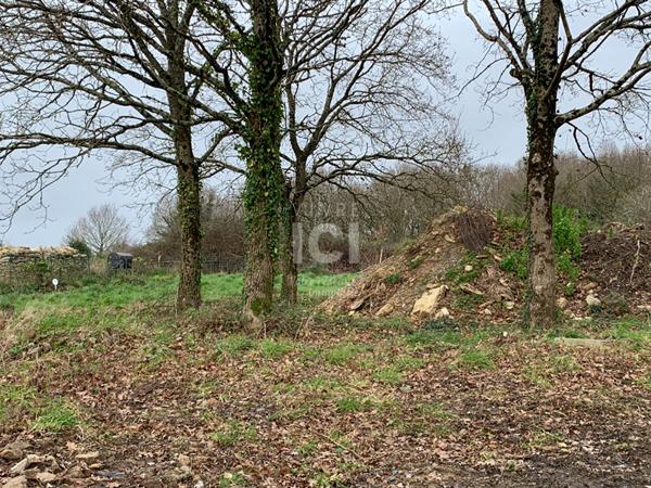 Terrain Saint Lyphard