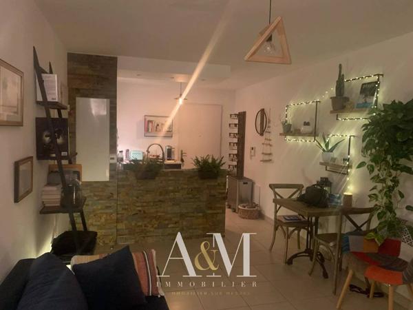 Appartement T2 45m² + terrasse et garage