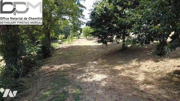 Propriété d'Exception en Pleine Nature. Rénovation de qualité avec  Piscine & Sauna et environ ...