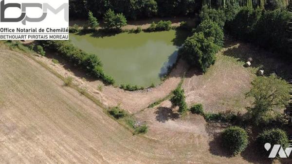 Propriété d'Exception en Pleine Nature. Rénovation de qualité avec  Piscine & Sauna et environ ...