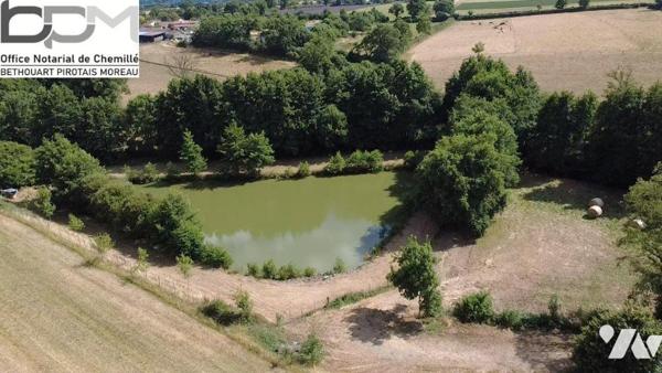 Propriété d'Exception en Pleine Nature. Rénovation de qualité avec  Piscine & Sauna et environ ...