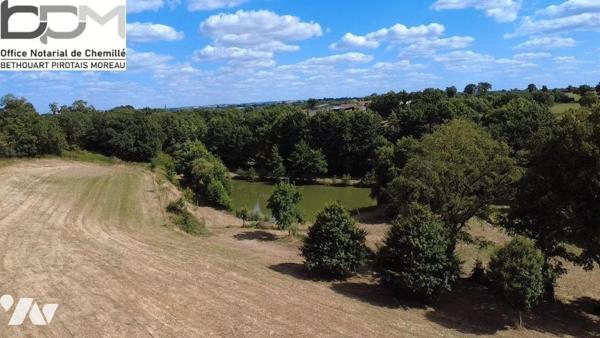 Propriété d'Exception en Pleine Nature. Rénovation de qualité avec  Piscine & Sauna et environ ...