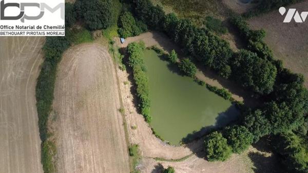 Propriété d'Exception en Pleine Nature. Rénovation de qualité avec  Piscine & Sauna et environ ...
