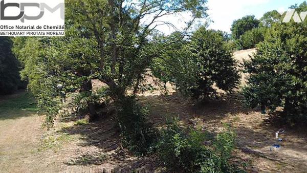 Propriété d'Exception en Pleine Nature. Rénovation de qualité avec  Piscine & Sauna et environ ...