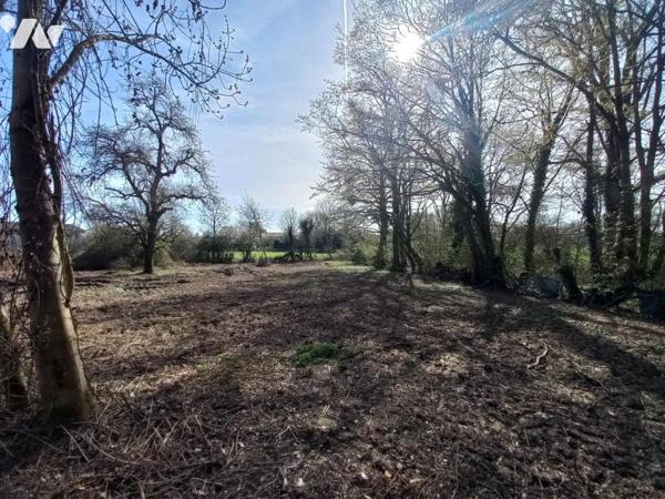 TERRAIN CONSTRUCTIBLE et Maison  non habitable en l'état