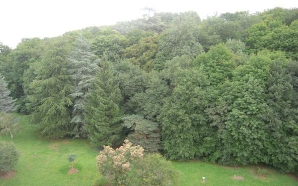 Appartement à vendre    1 pièce • 25,86 m2 Sainte-Foy-lès-Lyon