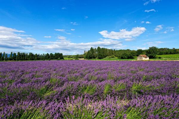 A la recherche d'un mas au calme ?