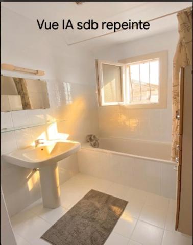 A DECOUVRIR ENSEMBLE DE 2 MAISONS IDEALEMENT SITUEES A SALVIAC