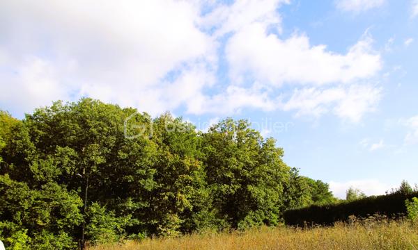 Terrain Constructible de 948 m².
À seulement 4 minutes de la gare reliant Paris Montparnasse, entre Épernon et Maintenon, découvrez ce magnifique terrain à bâtir de 948 m² avec une façade généreuse de 36,16 mètres.
Situé dans un village paisible et convivial, avec écoles à proximité, ce terrain vous offre une vue imprenable sur la nature et la forêt, dans un environnement calme et verdoyant, idéal pour concrétiser votre projet de vie.
Entièrement constructible.
Hors lotissement – Terrain LOT C, libre de constructeur
PLU très souple : toutes architectures et teintes acceptées (plain-pied, sous-sol, combles aménagés…)
Non soumis aux Bâtiments de France
Viabilisation en bordure : eau, électricité, fibre haut débit, PTT. Tout-à-l’égout présent sur rue. Cout estimé à 5 800 euros
Ce terrain rare réunit tranquillité, accessibilité et liberté architecturale. Un cadre de vie idéal à découvrir sans tarder !