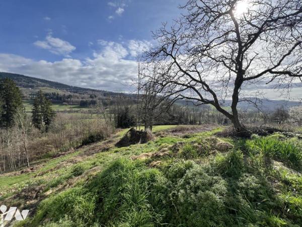Ferme vosgienne en situation dominante 