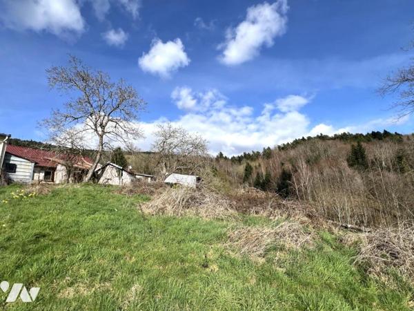 Ferme vosgienne en situation dominante 