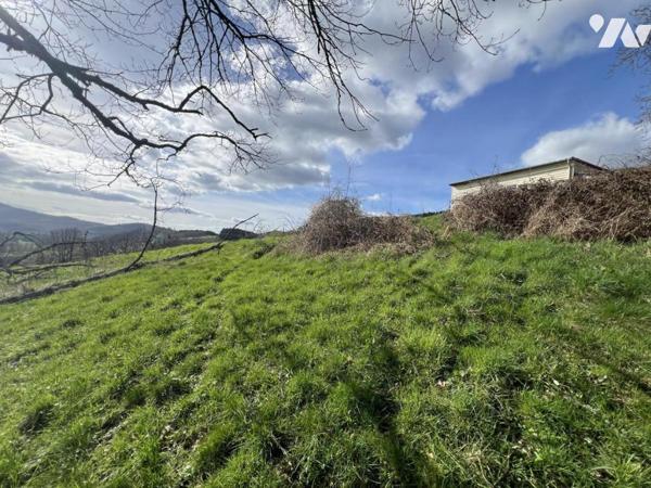 Ferme vosgienne en situation dominante 