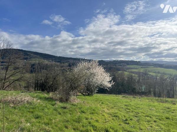 Ferme vosgienne en situation dominante 