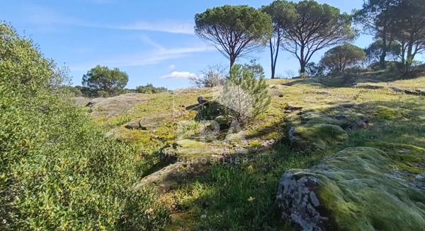 Terrain Vidauban +1450 m2