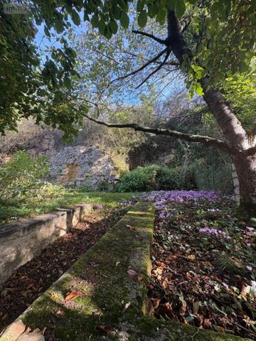 Maison à vendre à Argenton-sur-Creuse dans l'Indre (36200), ref : 037/2634