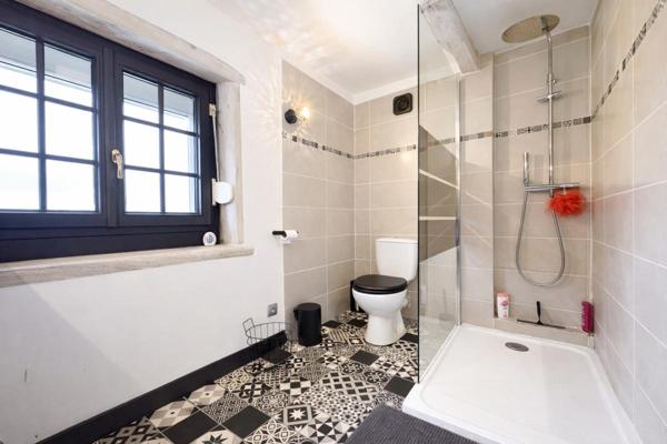 Maison Chatillon Sur Indre 9 pièce(s) 255 m2