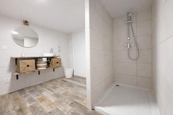 Maison Chatillon Sur Indre 9 pièce(s) 255 m2