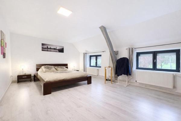 Maison Chatillon Sur Indre 9 pièce(s) 255 m2