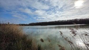 Terrain de loisirs - Bois - Etang à vendre à Mézières-en-Brenne dans l'Indre (36290), ref : 021/1566