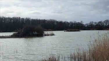 Terrain de loisirs - Bois - Etang à vendre à Mézières-en-Brenne dans l'Indre (36290), ref : 021/1566