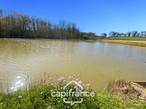 Etang de 7000m² - SAVIGNY SUR SEILLE (71)