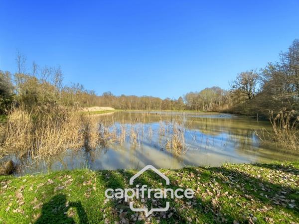 Etang de 7000m² - SAVIGNY SUR SEILLE (71)