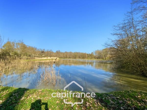 Etang de 7000m² - SAVIGNY SUR SEILLE (71)