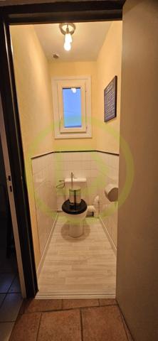 Maison de campagne à ROSNAY (36300)