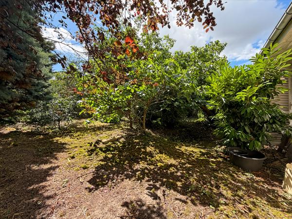 Maison Palaiseau 5 pièce(s) 107 m2