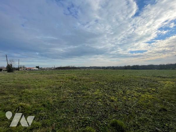 Maison de campagne avec dépendance et terrain de 3000m² – à 9 minutes de Vallet (LA REMAUDIERE)