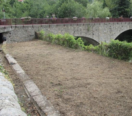 ANCIEN COMMERCE 230m², espace de vie 160 m2, terrain +700m²