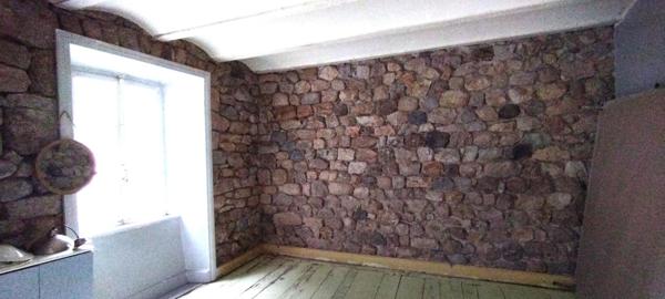 ANCIEN COMMERCE 230m², espace de vie 160 m2, terrain +700m²