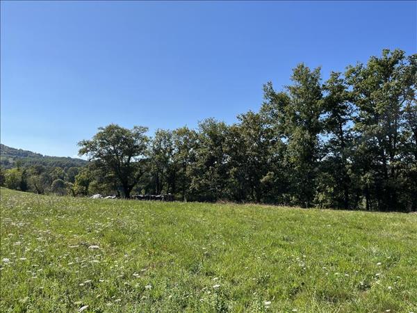 Terrain à vendre |  Saint-Cyprien |  1145 m²