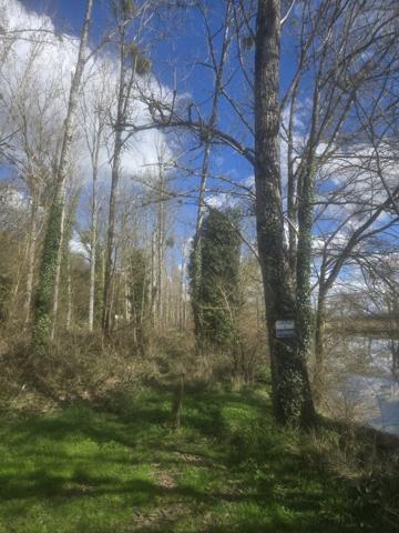 Terrain à FONTGOMBAULT (36220)