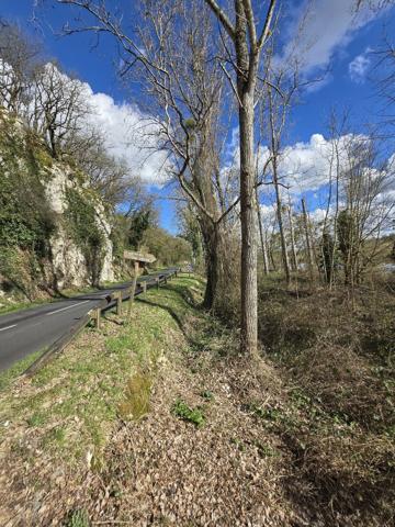 Terrain à FONTGOMBAULT (36220)