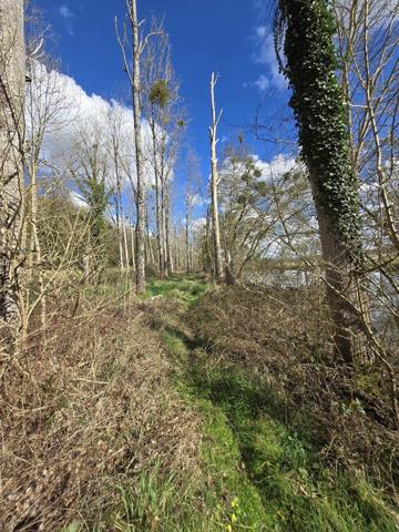 Terrain à FONTGOMBAULT (36220)