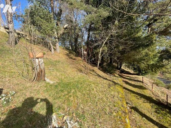 2 MAISONS A VENDRE A SAINT CHELY D'APCHER