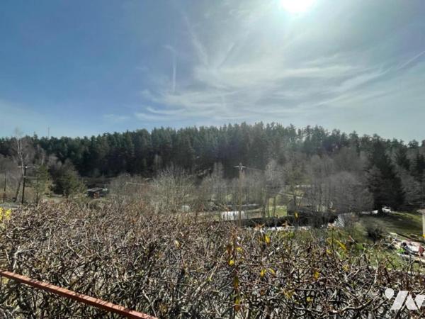 2 MAISONS A VENDRE A SAINT CHELY D'APCHER