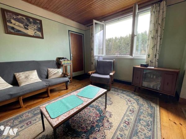 2 MAISONS A VENDRE A SAINT CHELY D'APCHER